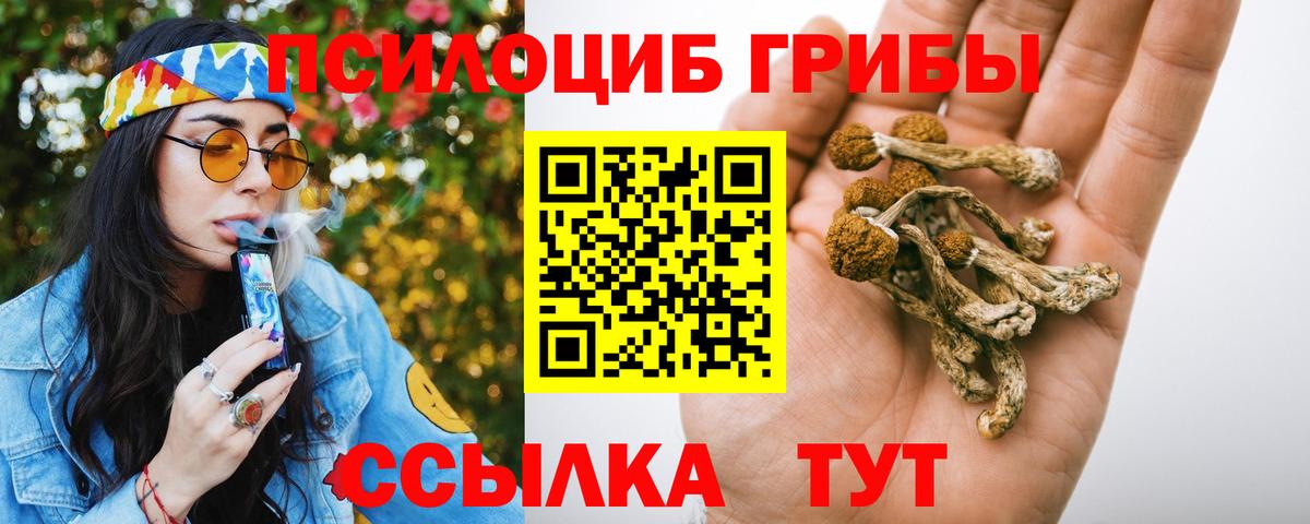Барнаул  Галлюциногенные грибы мицелий  Псилоцибиновые грибы мицелий  Вход с VPN 
