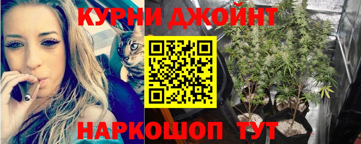 Бошки Шишки тримм Барнаул